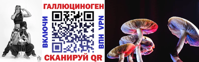 даркнет как зайти  кракен вход  Северская  продажа наркотиков  Галлюциногенные грибы MAGIC MUSHROOMS 